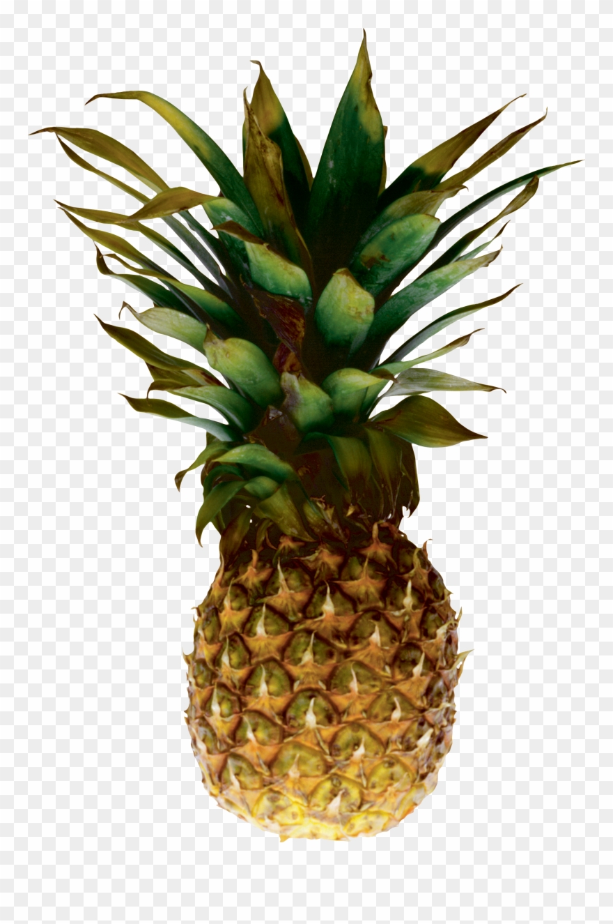 Download - Transparent Pineapple Clipart