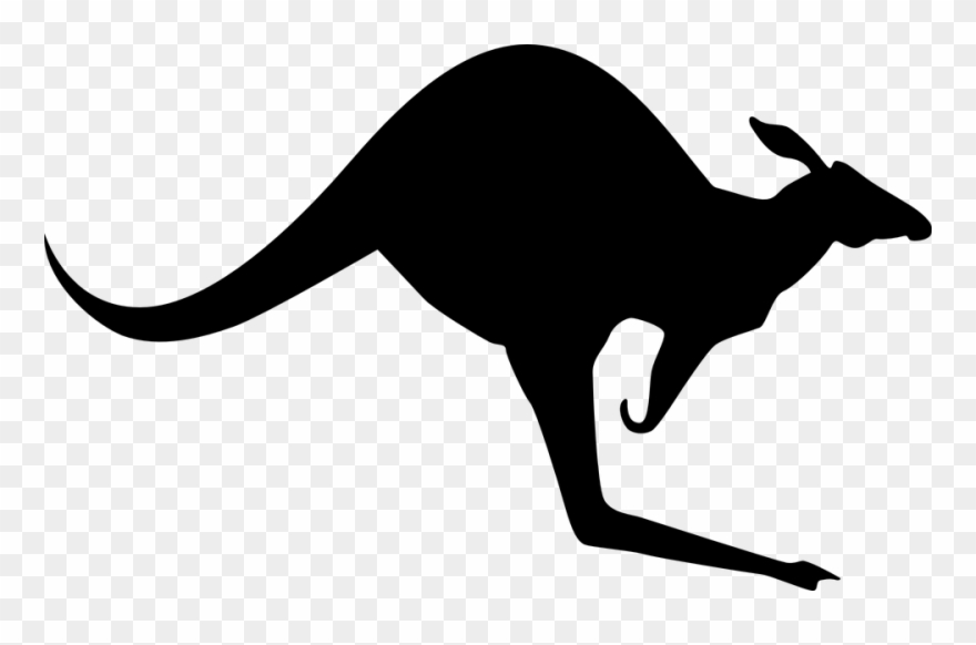Free Vector Graphic - Australian Kangaroo Pillow Case Clipart