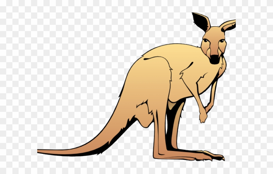 Kangaroo Clipart Kanagroo - Kangaroo Clip Art - Png Download