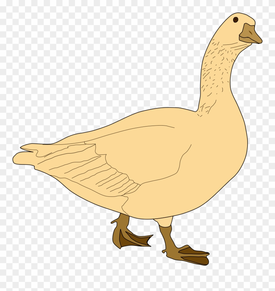 Sparknotes Yellow Wallpaper - Golden Goose Vector Clipart