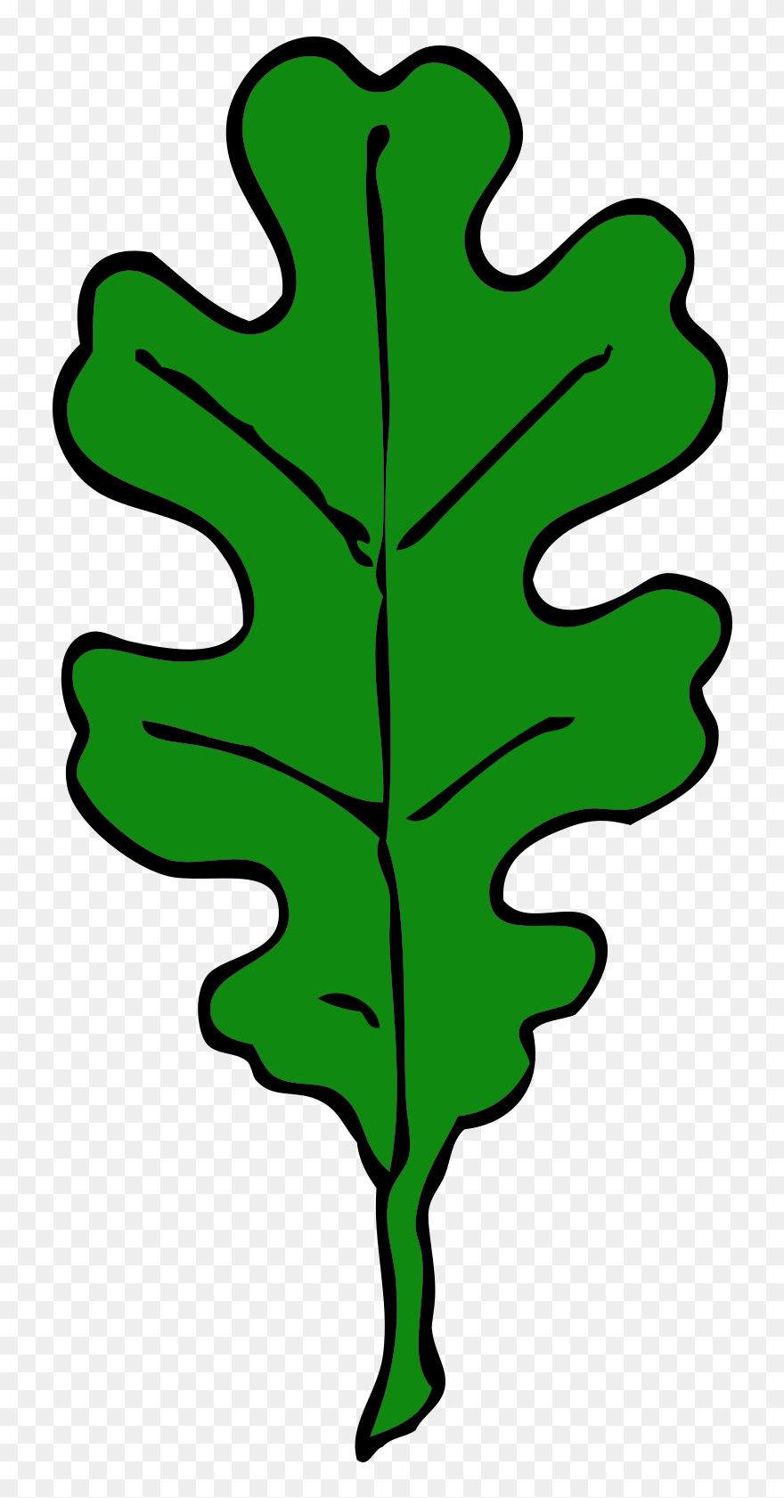 Forest, Oak Leaf, Green, Leaf, Tree, Leaves, Oak - Red Oak Leaf Clip Art - Png Download