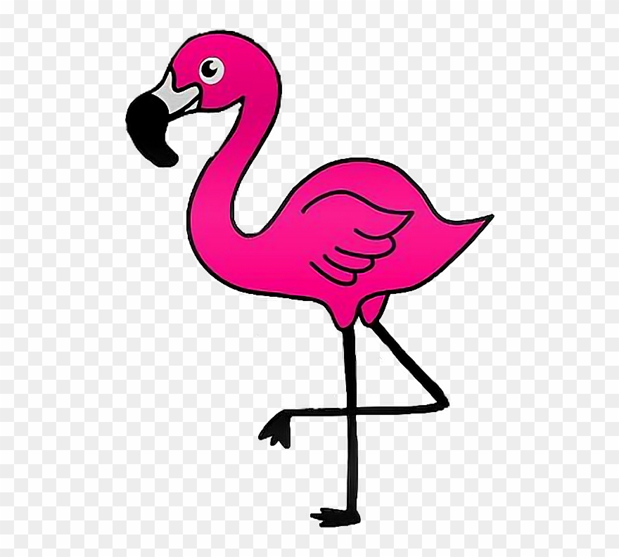 Report Abuse - Flamingo Clip Art Transparent - Png Download