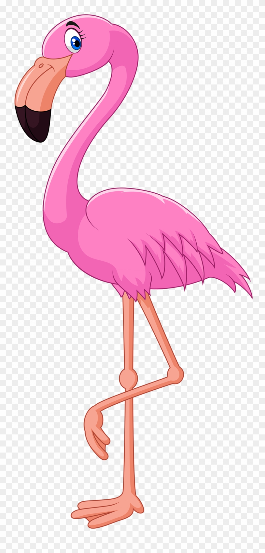 Flamingo Clipart - Png Download