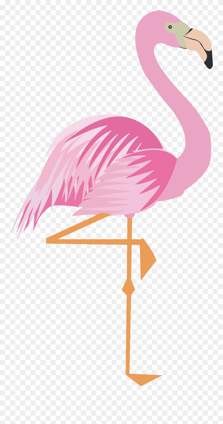 Flamingo Clip Cartoon - ฟ ลา มิ ง โก้ การ์ตูน - Png Download