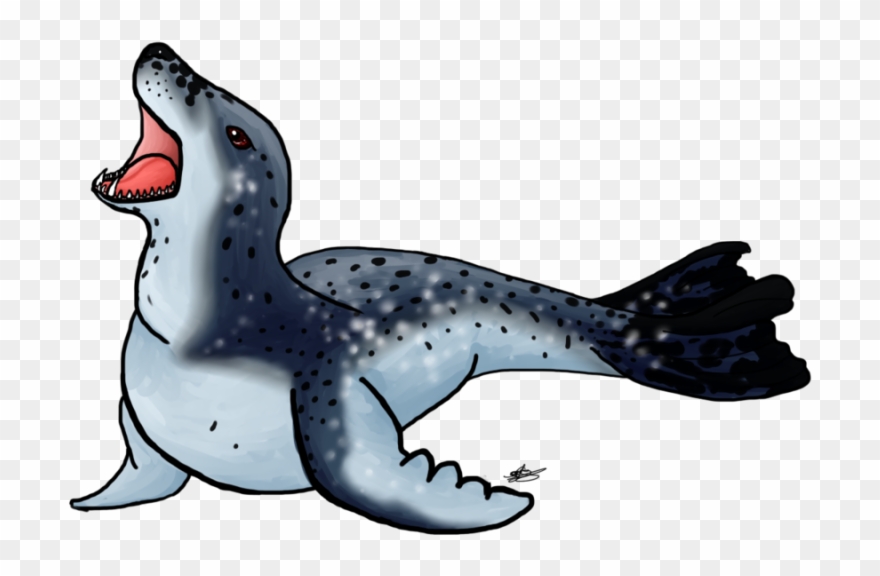 Seal Clipart Leopard Seal - Leopard Seal Drawing - Png Download