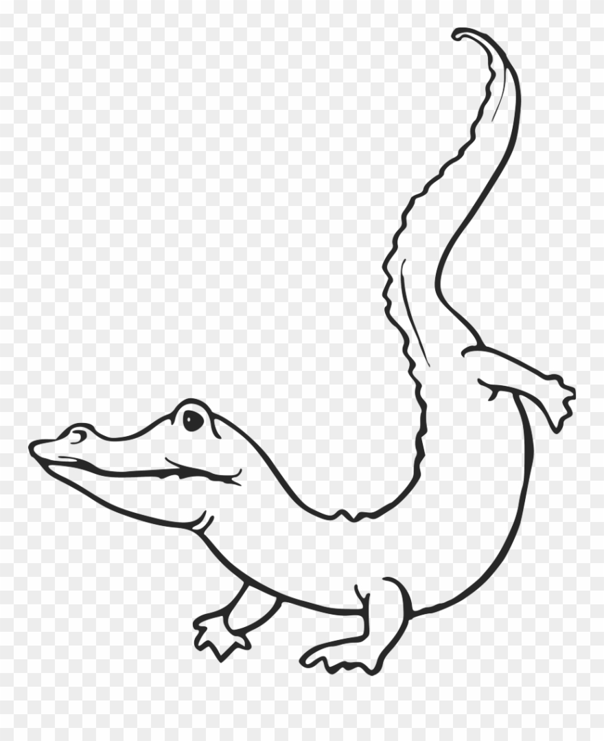 Head Clipart Alligator - Crocodile Stencil - Png Download