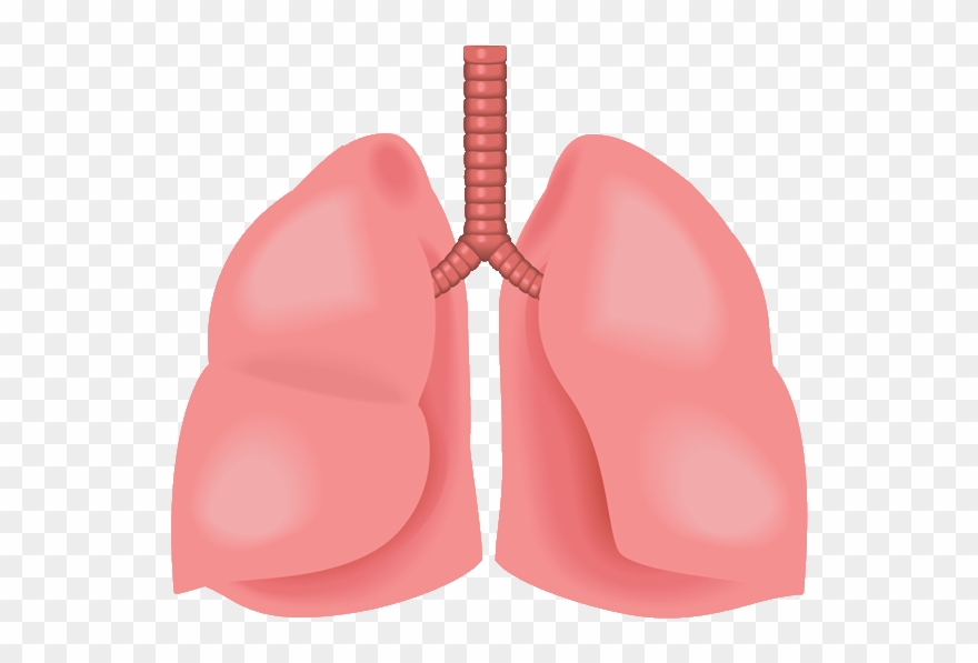 Emergency Medicine Residents' Association Clipart