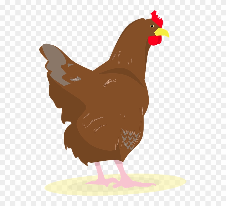 Free Photo Eggs Chicken Rooster Party Chick - Con Gà Mái Vector Clipart