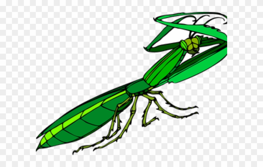 Praying Mantis Clipart Pray Mantis - Gottesanbeterin Clipart - Png Download