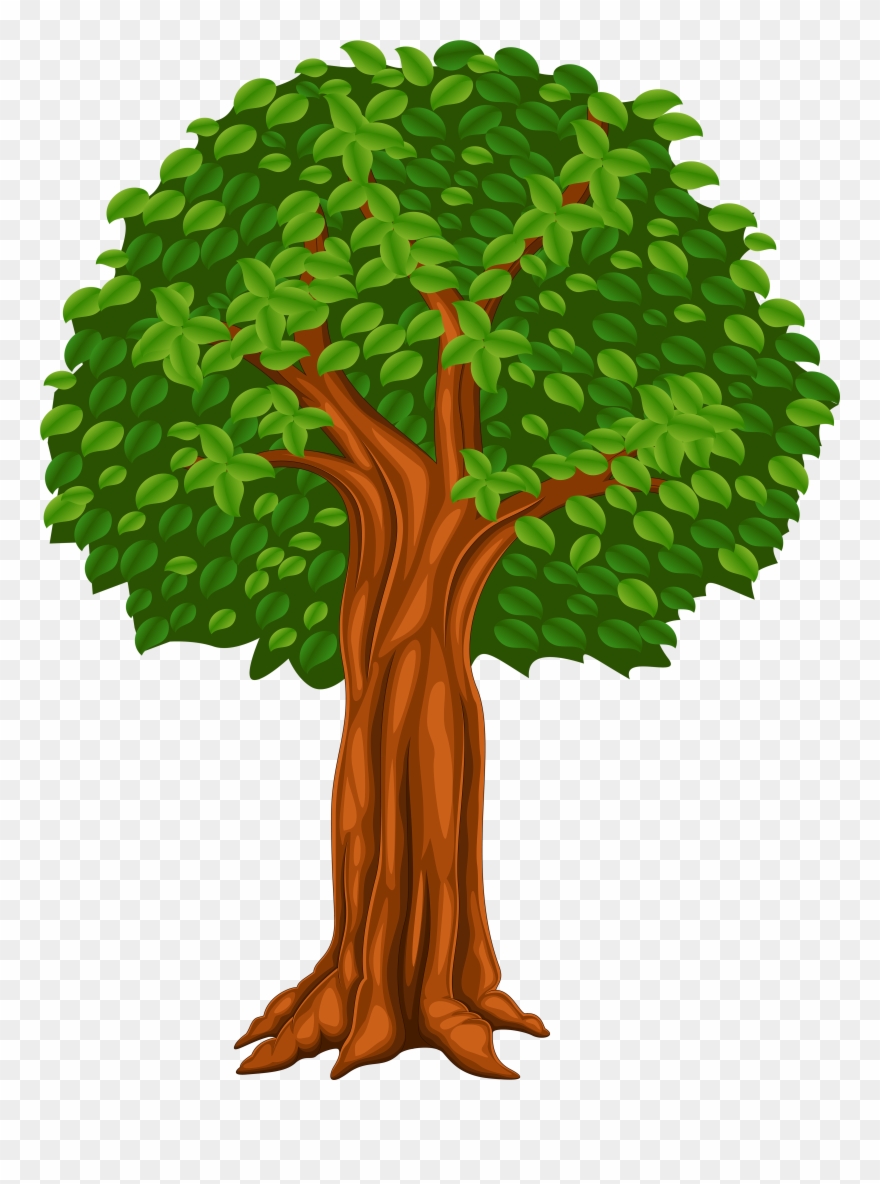 Png Clip Art Image Gallery Yopriceville High - Tree Vector Transparent Png