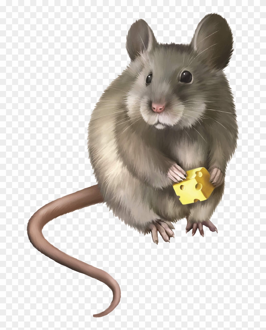Mice Clipart Rodent - Electronic Mouse Trap - Png Download