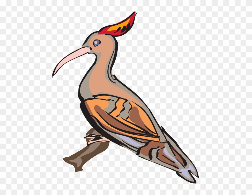 Perched Hoopoe Png, Svg Clip Art For Web Transparent Png