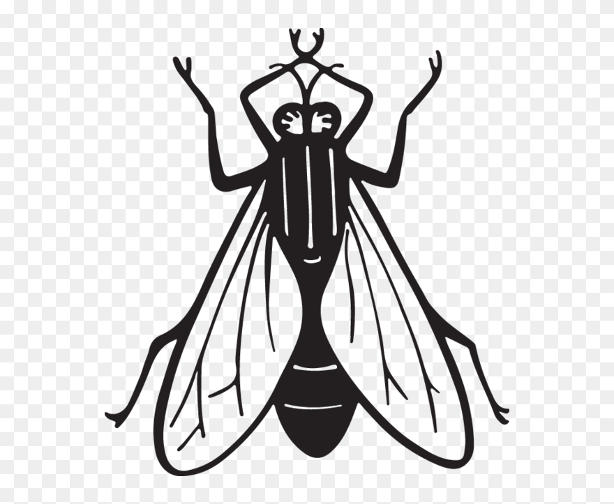 Insect Clipart Line Art - Art Print: Pop Ink - Csa Images' Housefly, 12x12in. - Png Download