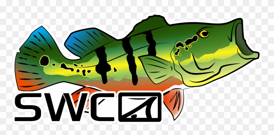 Mirror Peacock Decal - Cichla Clipart