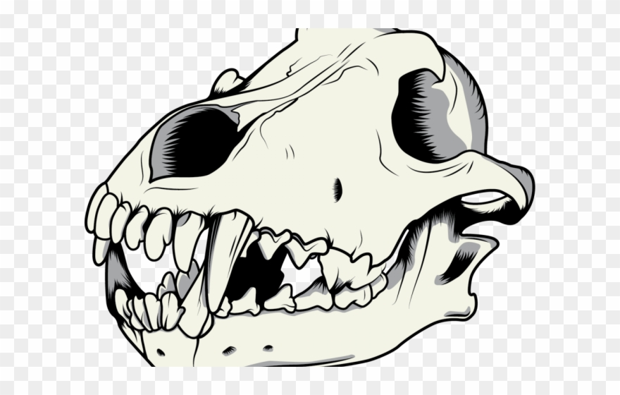 Mouth Clipart Wolf - Wolf Skull Transparent - Png Download