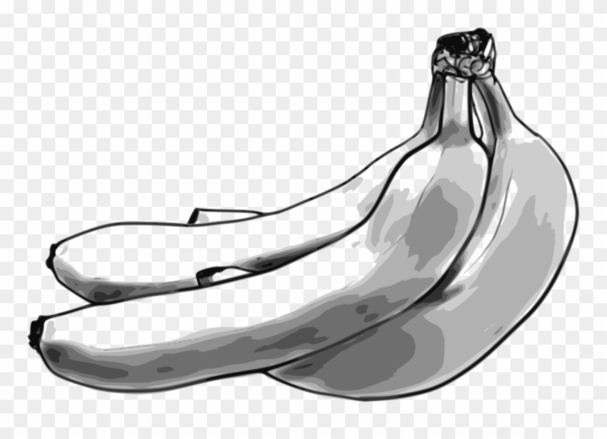 Download Banana Bunch Big Image - Bananas Sketch Shower Curtain Clipart