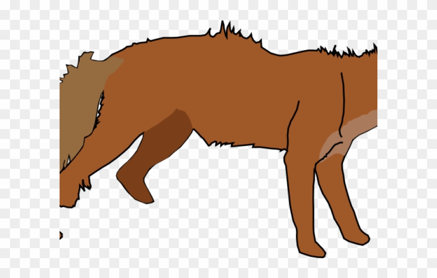 Arctic Wolf Clipart Animated - Red Fox Shower Curtain - Png Download