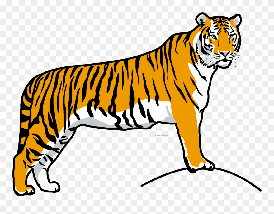 Tiiger Clipart Tiger Run - National Animal Of India Easy Drawing - Png Download