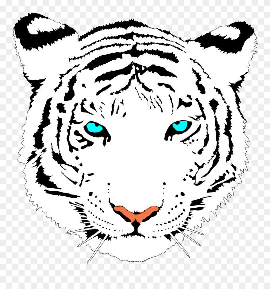 White Tiger Clipart Cute - Tiger Png Transparent Png