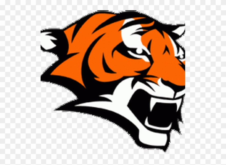 Board Marple Jr Tigers Football And Newtown - Andrew Jackson High School Logo Clipart