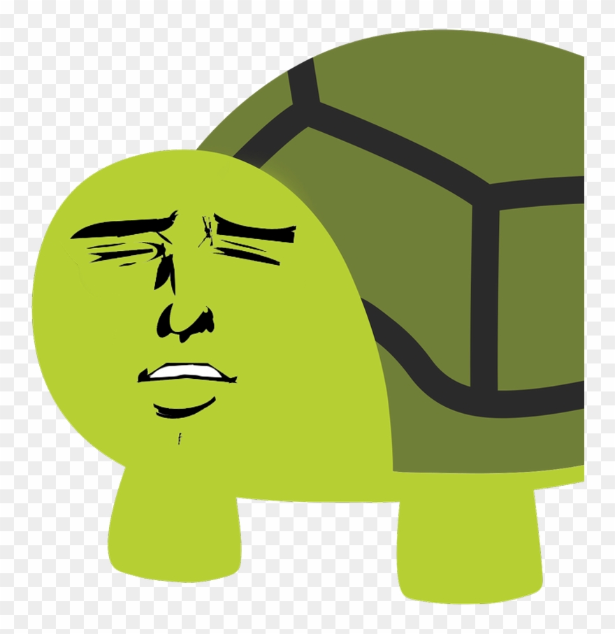 "rich In Trtl For Life, Just Not In Usd" Edition Anonymous - Schildkröten Emoji Clipart