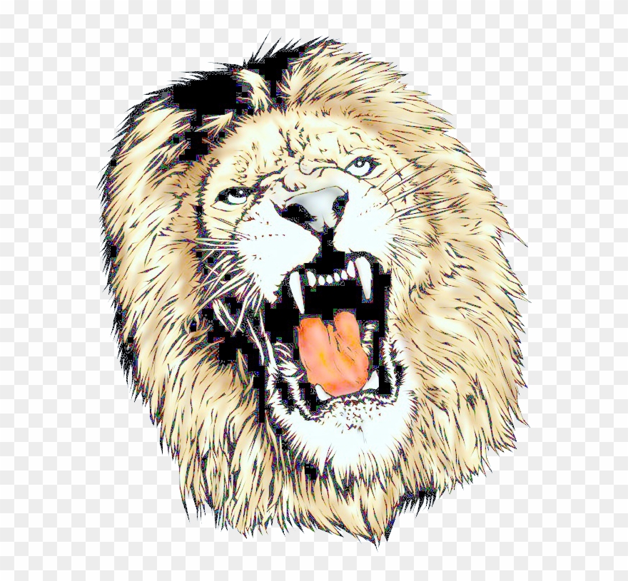 Free Icons Png - Lion Head Lion Png Clipart