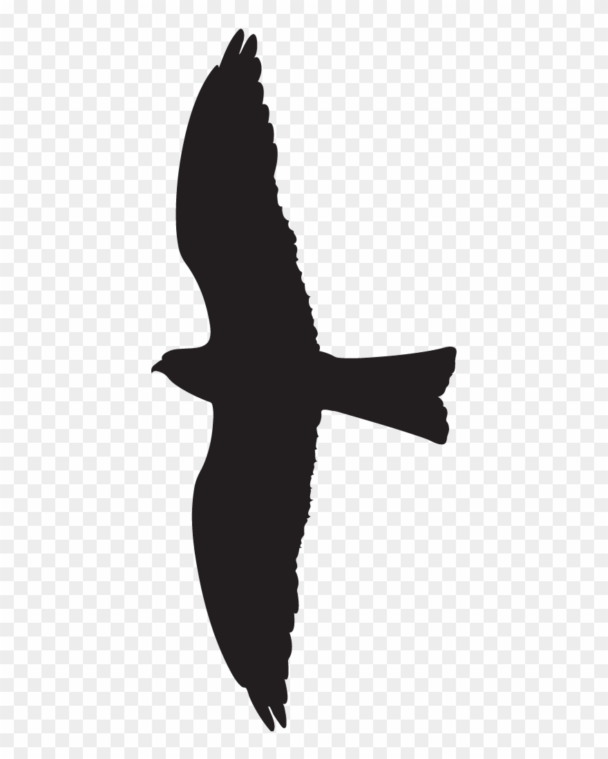 Silhouette At Getdrawings Com Free For Personal - All About Birds Clipart