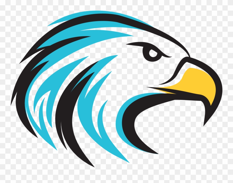 Open Enrollment Underway - Hawkeye Bird Png Clipart