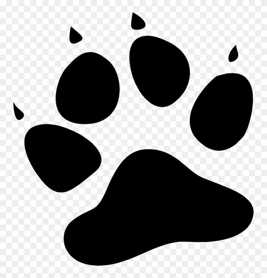 Sloth Clipart Paw Print - Amur Leopard Paw Print - Png Download