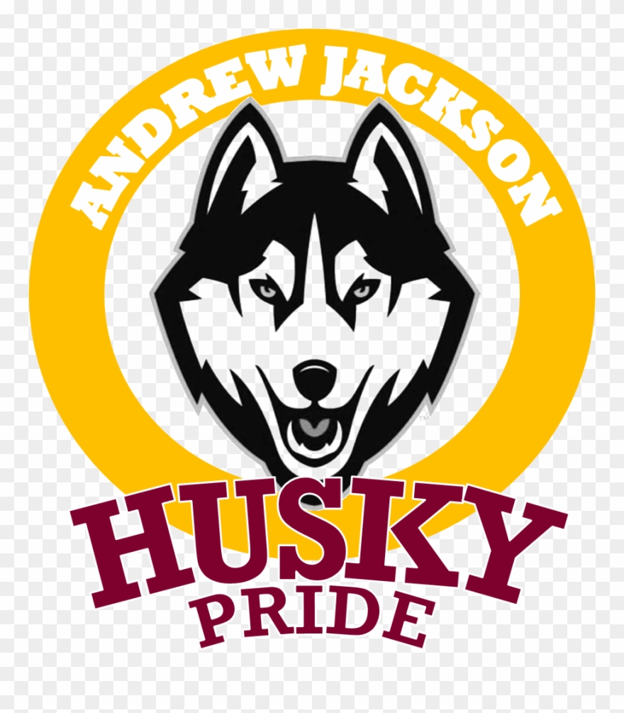 District Home - New Uconn Husky Logo Clipart