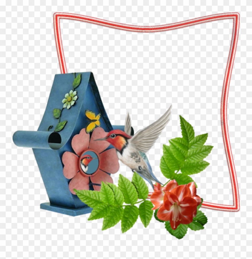 Publicat De Eu Ciresica La - Society6 Hummingbird Throw Blanket - 51" X 60" Clipart