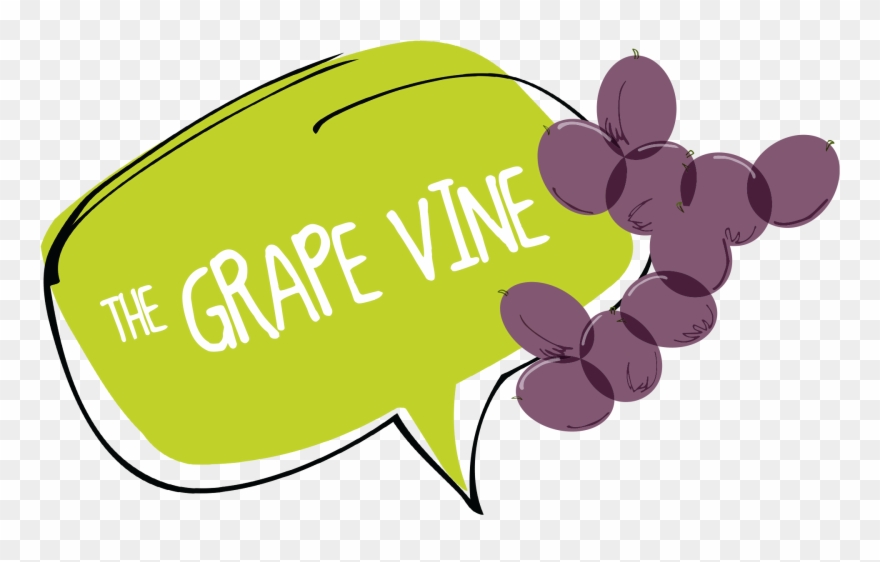 Grape Vine Website Banner - Cartoon Clipart