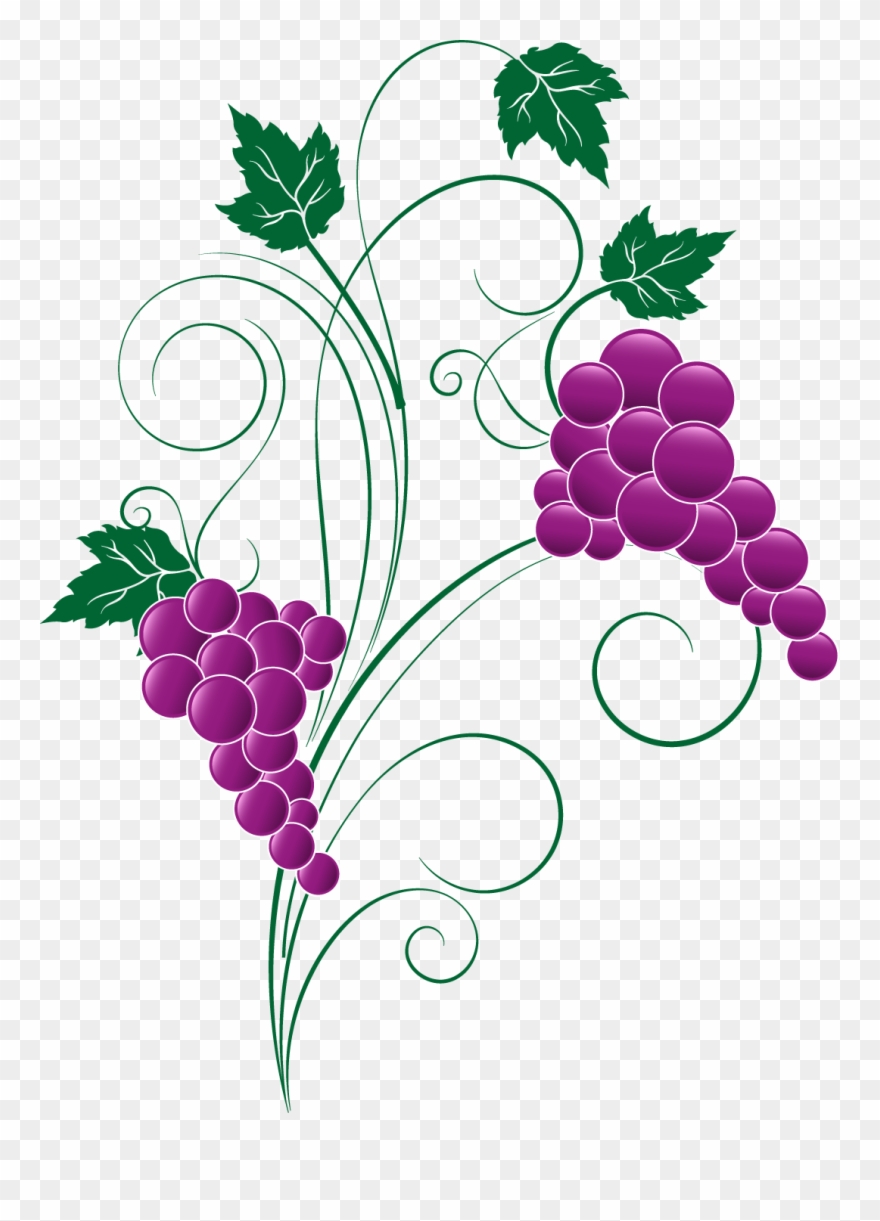Png Transparent Free Images Only Image X - Grape Clipart