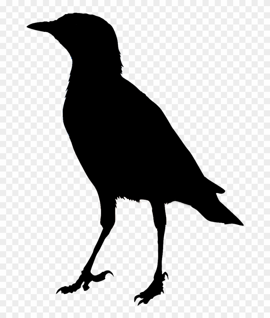 Trout Silhouette - Clip Art - Png Download