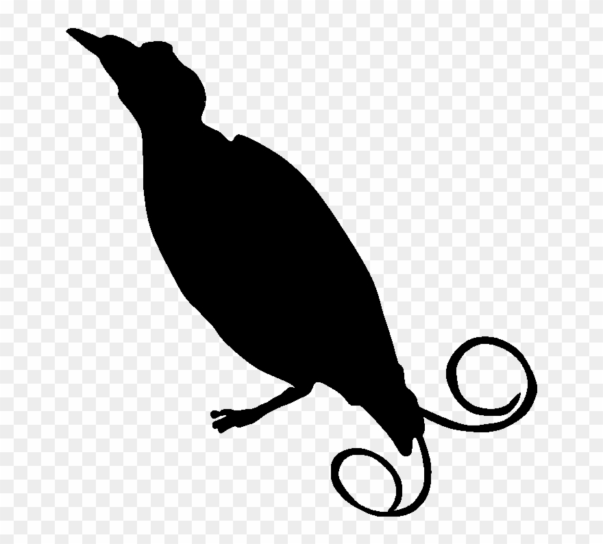 Make A Silhouette - Silhouette Clipart