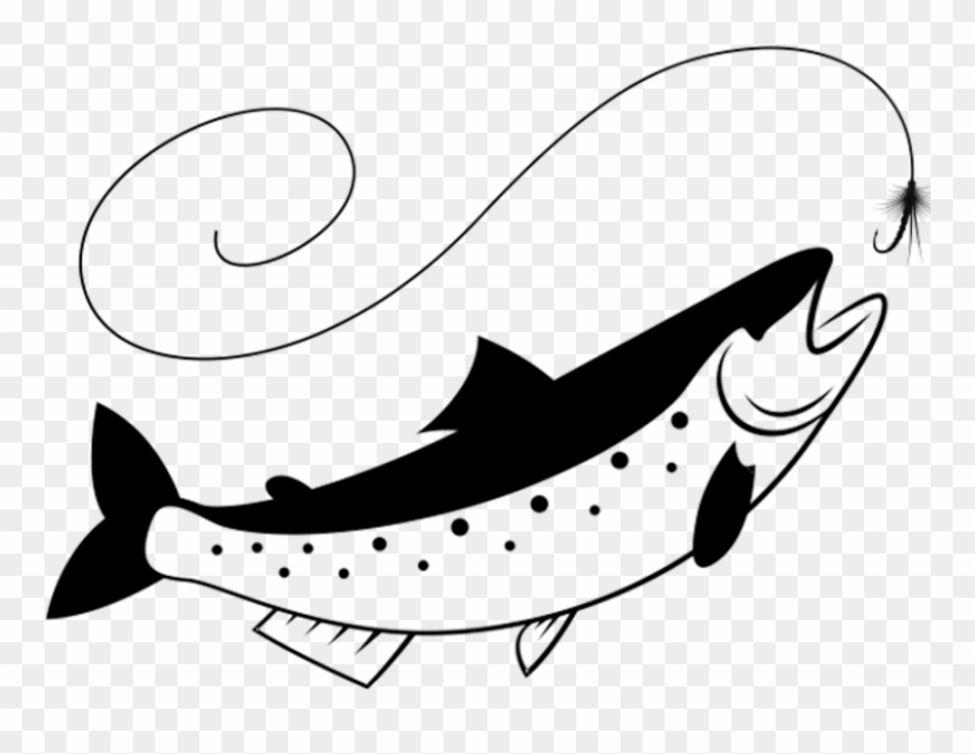 Trout - Vector Graphics Clipart