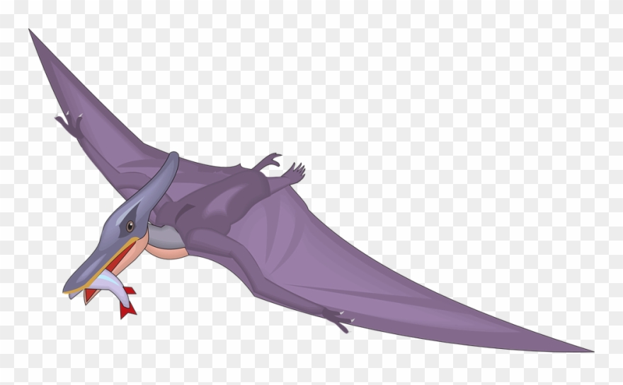 Dinosaur Clipart Bird - Pteranodon Clipart - Png Download