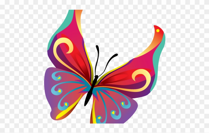 Minnesota Timberwolves Clipart Butterfly - Cartoon Picture Of Butterfly - Png Download