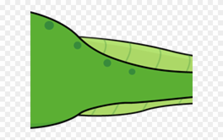 Tadpole Cliparts - Clip Art - Png Download