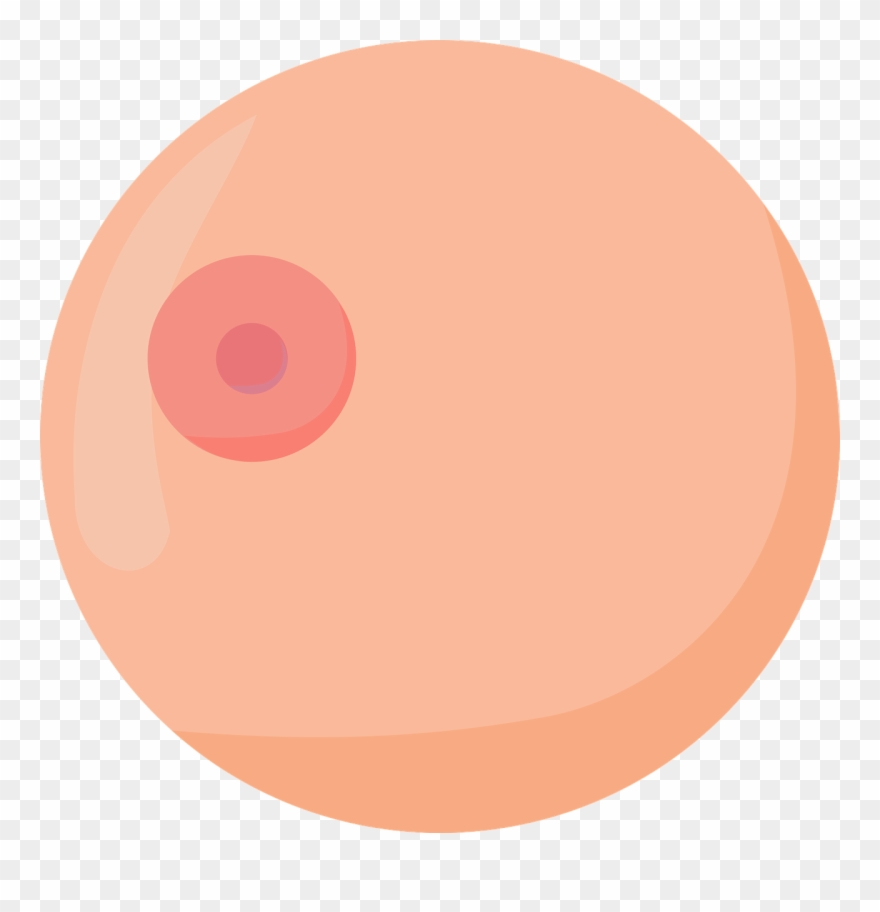 Boobs Boob Krūtys - Breast Clipart