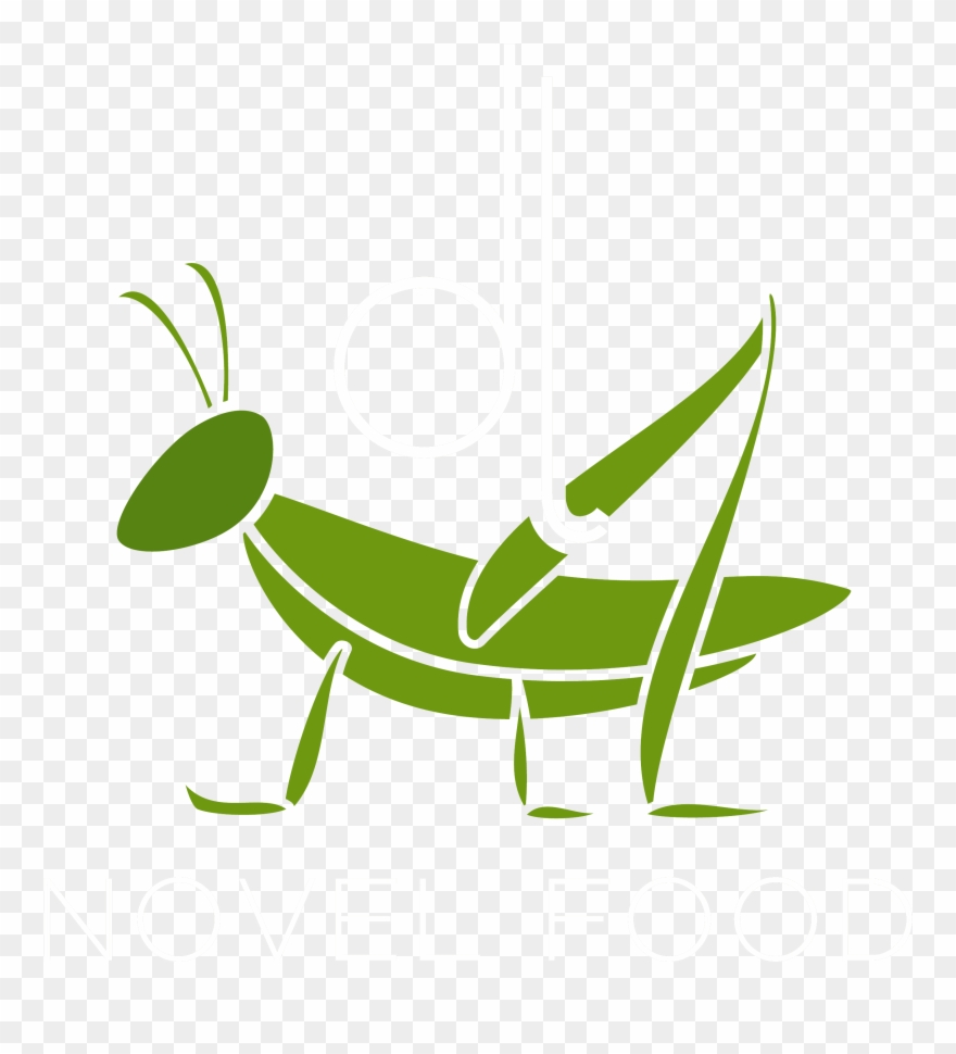 Grasshopper Clipart Jumping - Cricket - Png Download