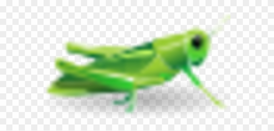 Cricket Clipart Insect Grasshopper - Mantidae - Png Download