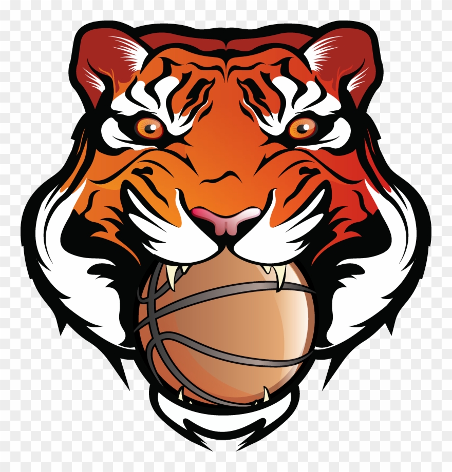 Bengal Spef Camps - Tigers Basketball Clip Art - Png Download