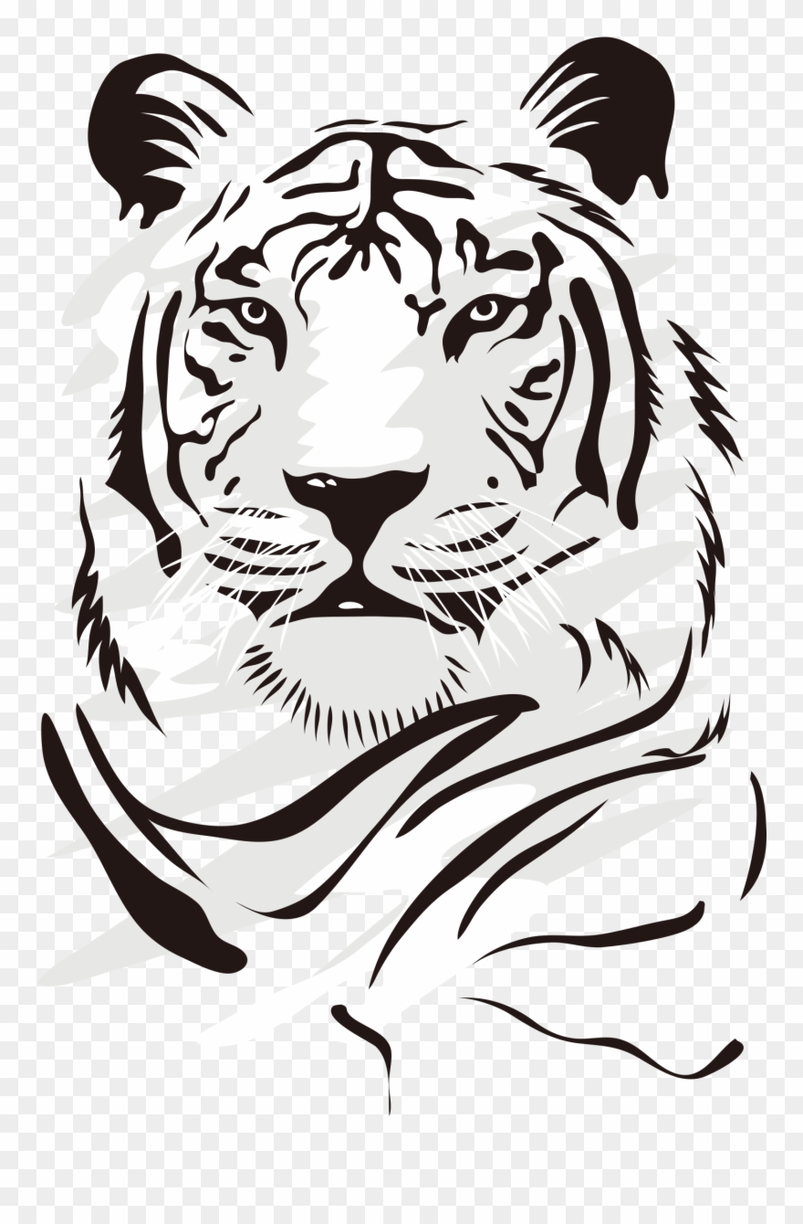 Drawing Tigers Vector - Dibujos De Tigres Blanco Y Negro Clipart