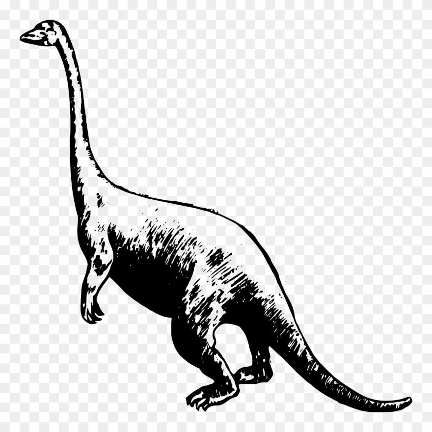 Medium Image - Dinosaur Basic Clipart