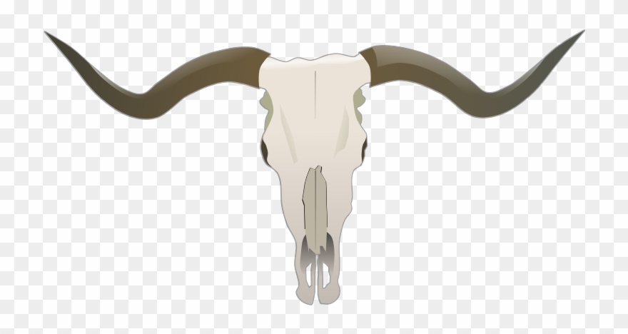 Bull Skull Clip Art Cliparts Co - Longhorn Skull - Png Download