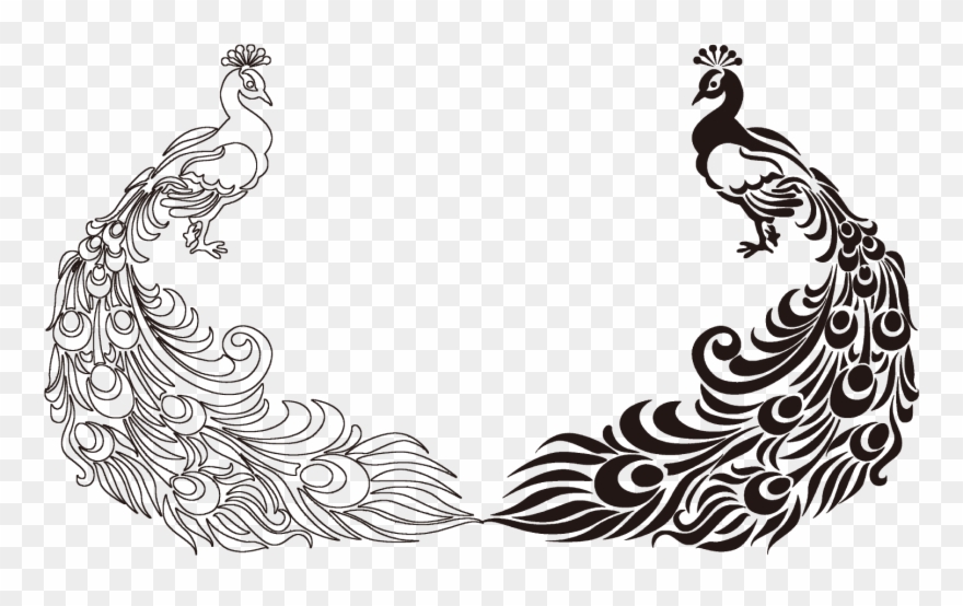 Peafowl Feather Bird Drawing Clip Art - Happy Birthday Quotes For Friend In Hindi - Png Download