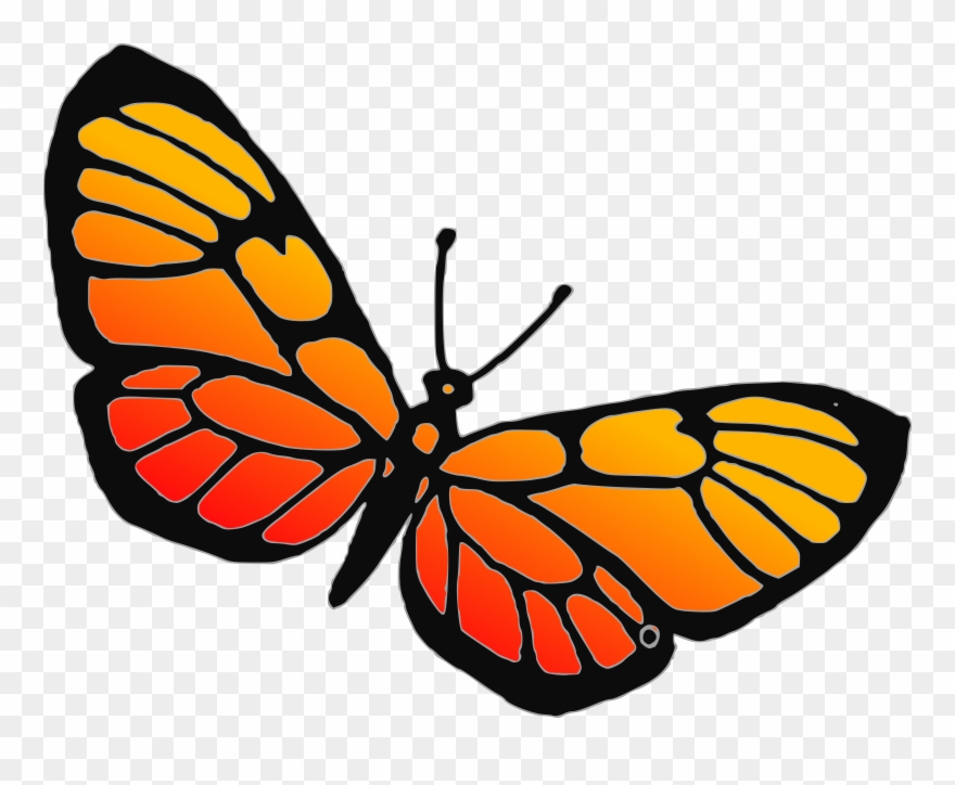 Log In Sign Up Upload Clipart - Dibujos De Mariposas Para Estampar - Png Download