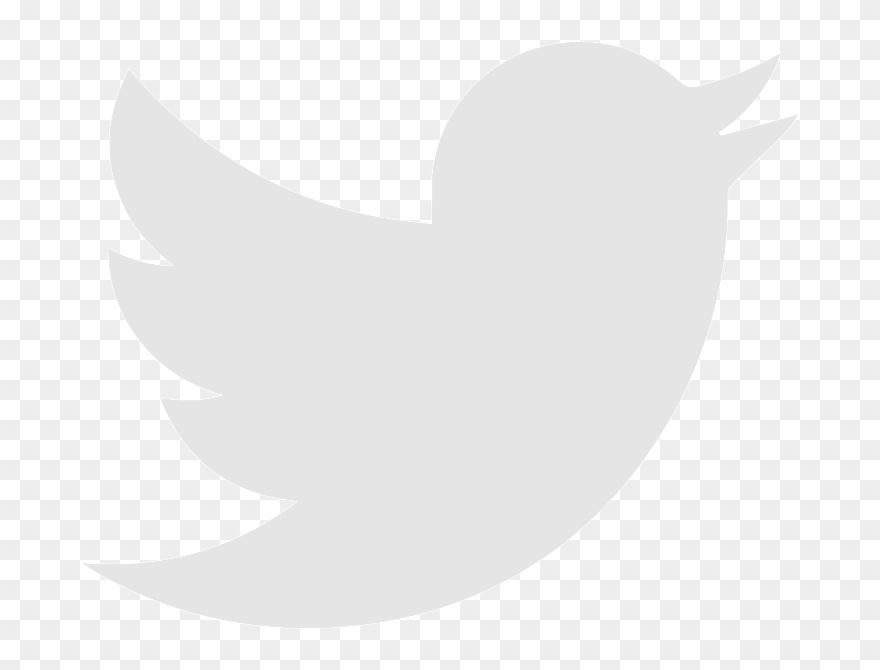 Social Icons-02 - Twitter Logo Png Green Clipart