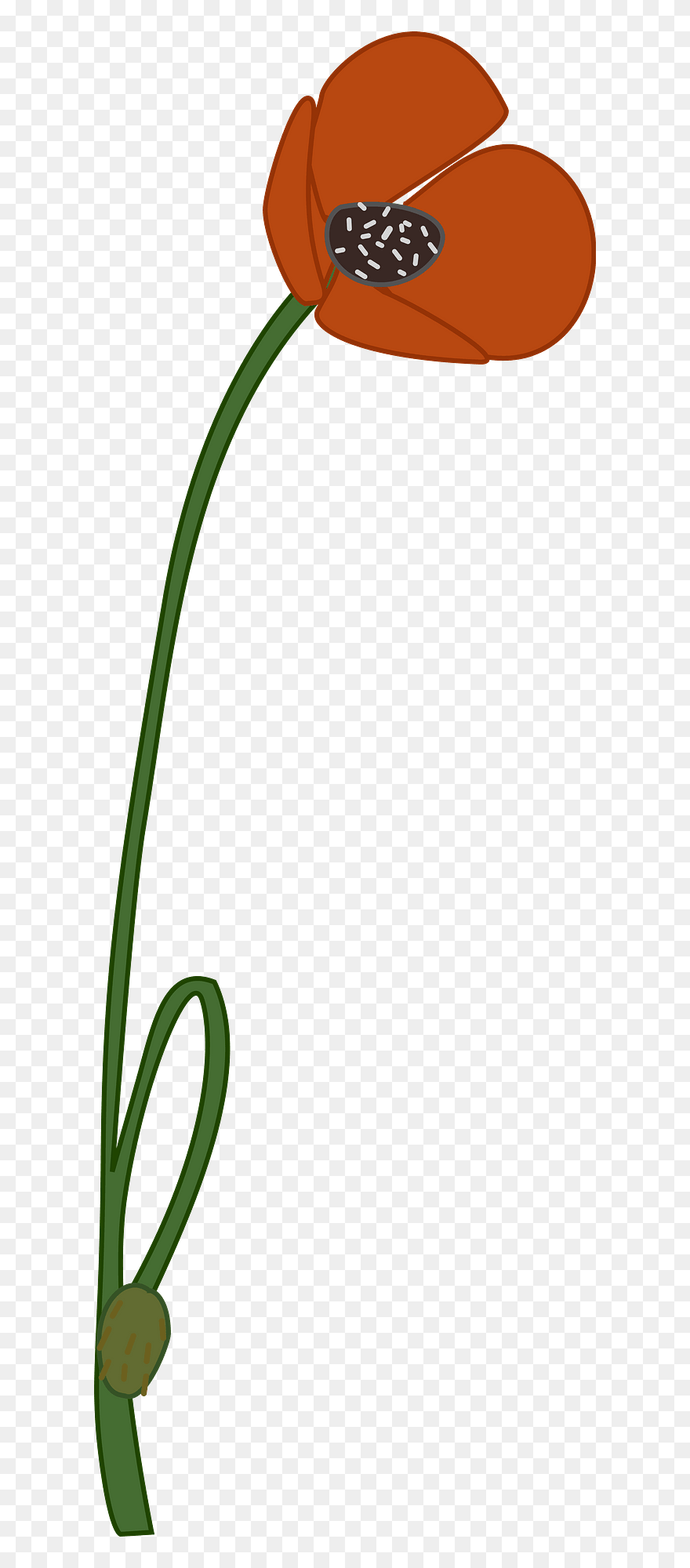 Vector Graphics - Poppy Flower Clipart Transparent Background - Png Download